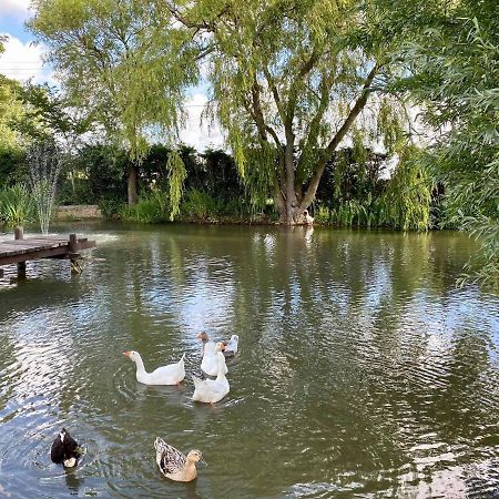 Au Coeur De La Flandre Daire Noordpeene Dış mekan fotoğraf