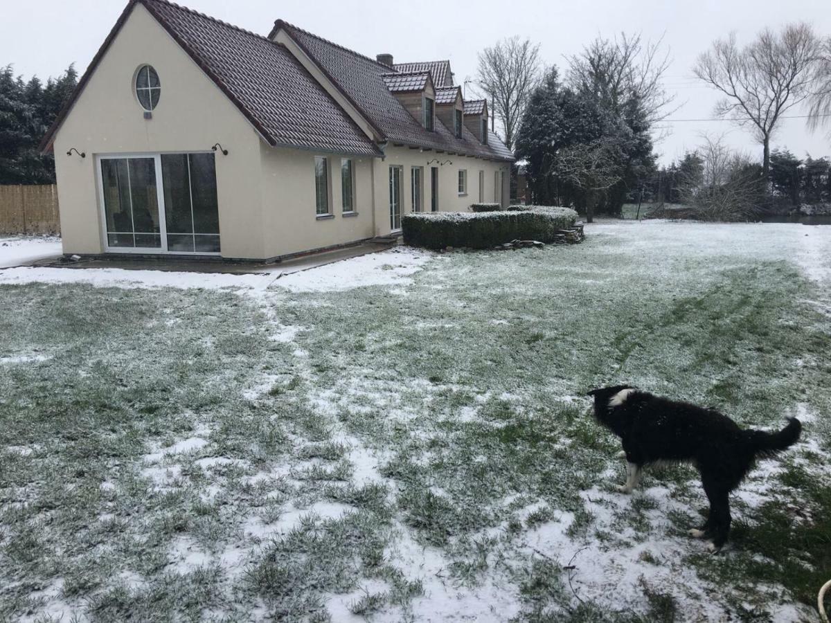 Au Coeur De La Flandre Daire Noordpeene Dış mekan fotoğraf