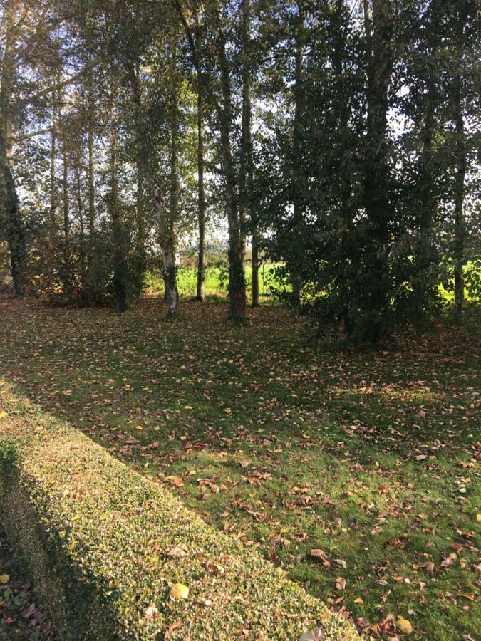 Au Coeur De La Flandre Daire Noordpeene Dış mekan fotoğraf