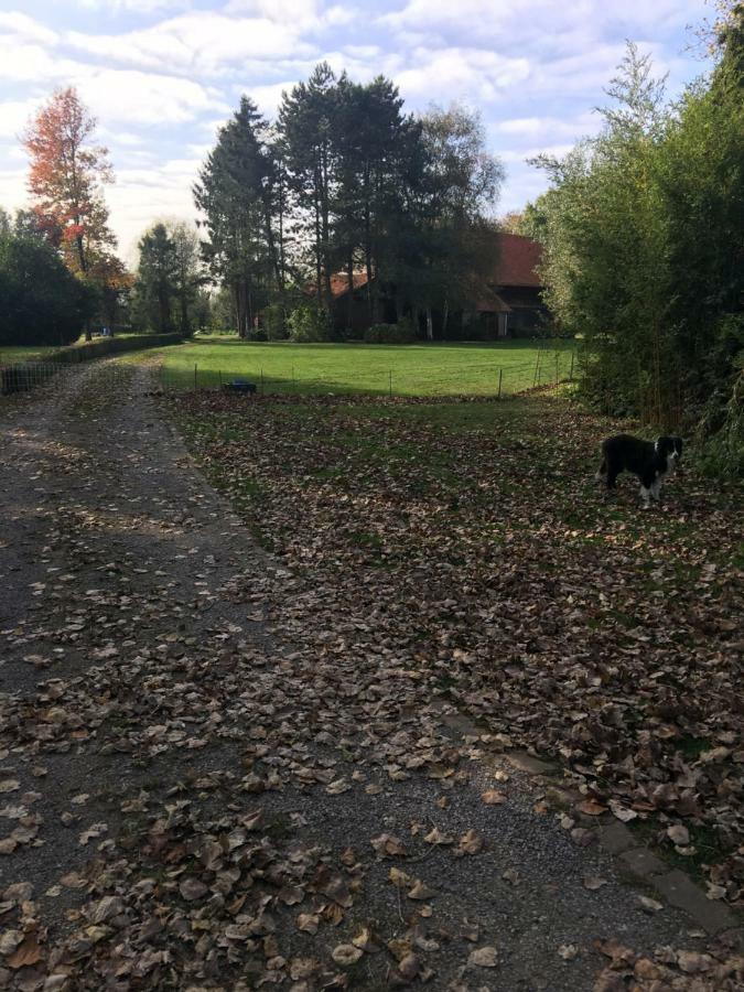 Au Coeur De La Flandre Daire Noordpeene Dış mekan fotoğraf