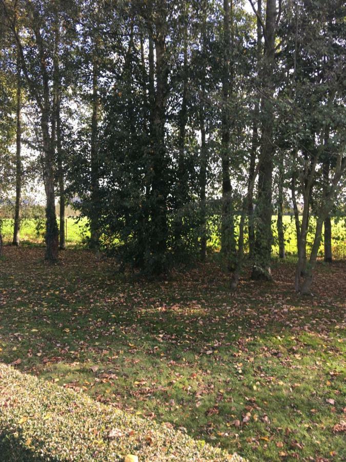 Au Coeur De La Flandre Daire Noordpeene Dış mekan fotoğraf