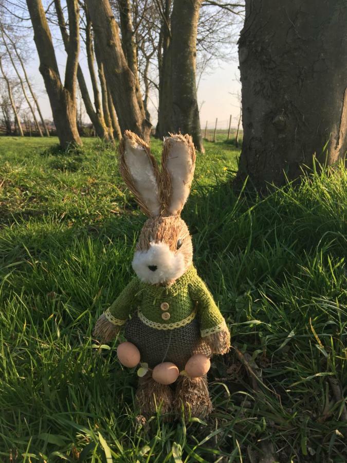 Au Coeur De La Flandre Daire Noordpeene Dış mekan fotoğraf